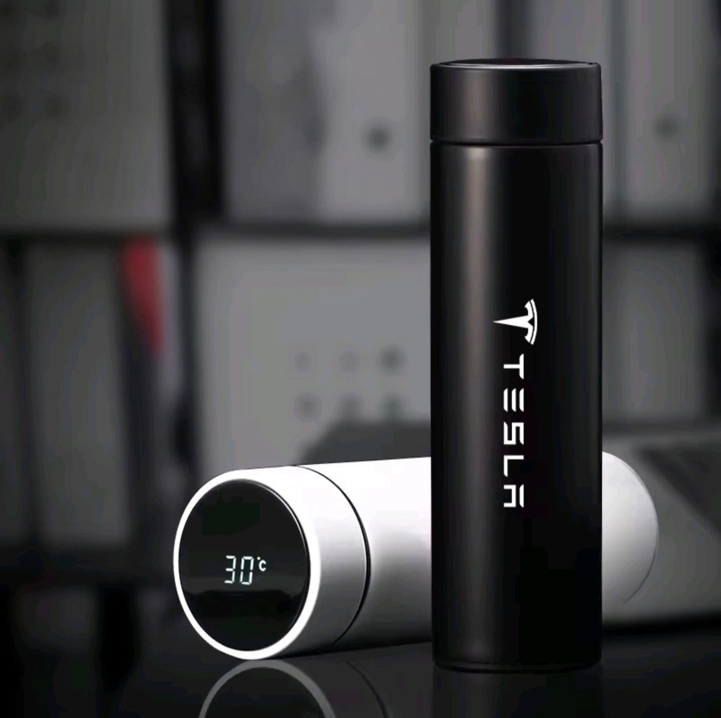 Thermal Bottle Tesla 500ML